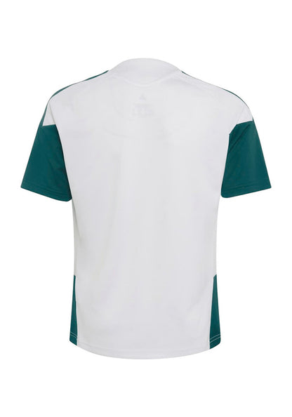 Real Madrid Training UCL Shirt 2026-2027 Kids White